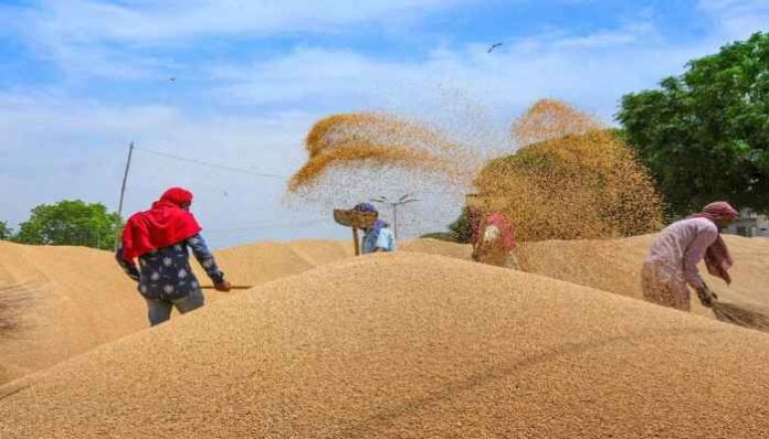 FCI to sell 11.72 lakh tonnes of wheat