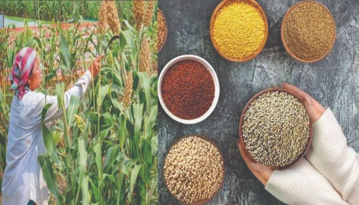 Markets-being-created-for-coarse-grains