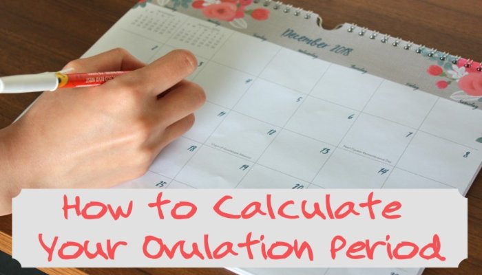 ovulation-period