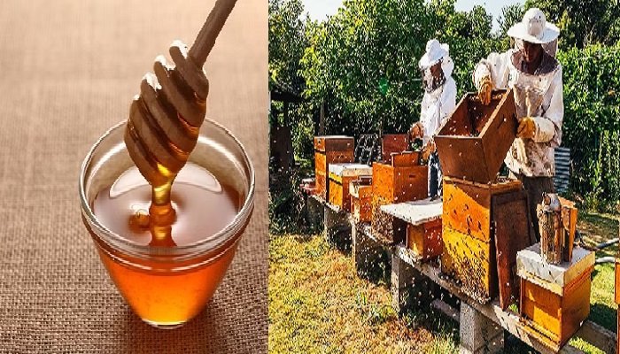 honey-production