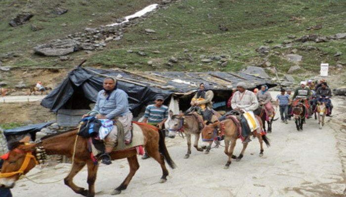 chardham-yatra