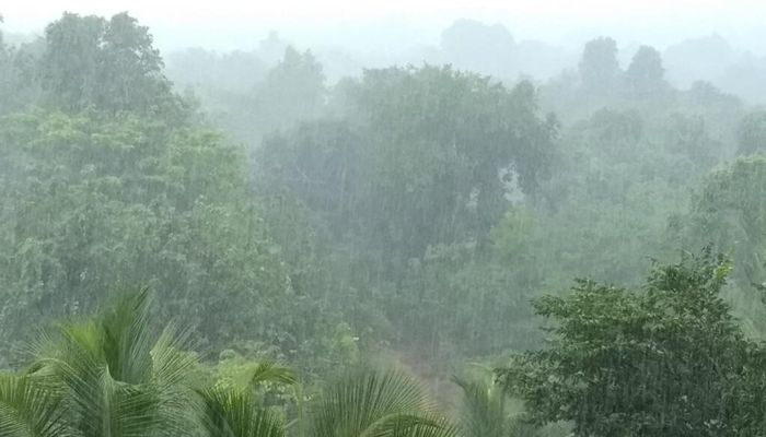 rain-in-jharkhand