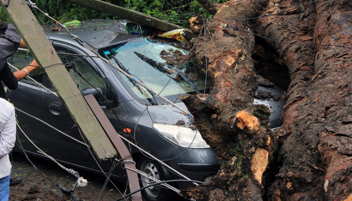 himachal-rain-landslide 