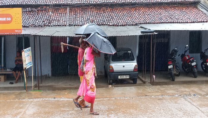 rain-is-good-for-paddy-and-kharif-crops