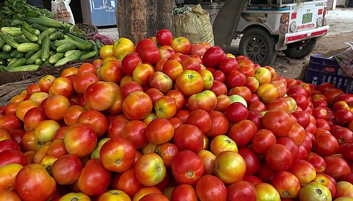 150 kg tomato reached Delhi
