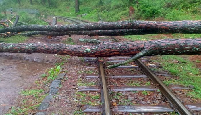 Kalka-heritage-rail-track-gets-blocked-by-an-uprooted-tree-following-heavy-rainfall-in-Shimla