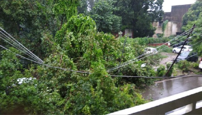 

Highest rain Chandigarh 23 years people worried waterlogging