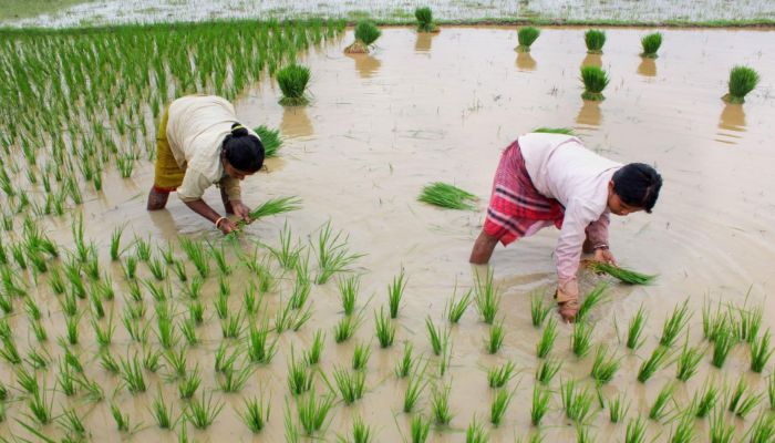 e-padtal-of-kharif-crop