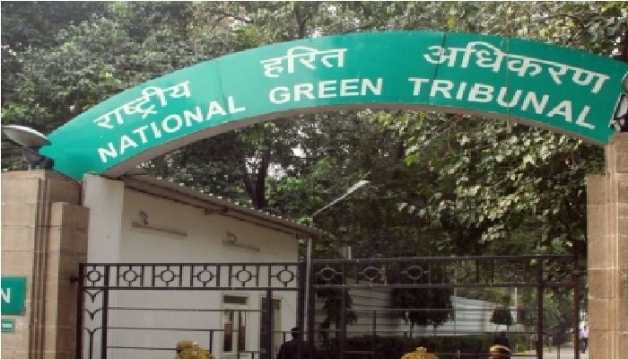 MP Transfer NGT judge