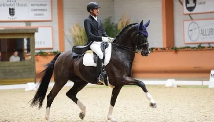 Hridaya Chheda-horse riding