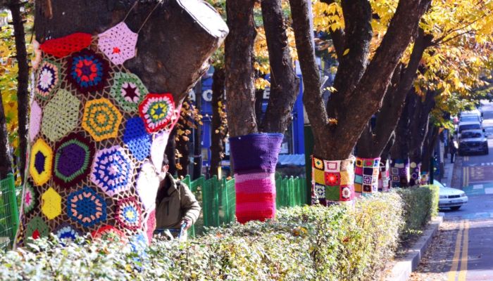 south-korea-seoul-trees