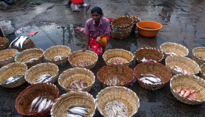 UP became first in fish farming leadership CM