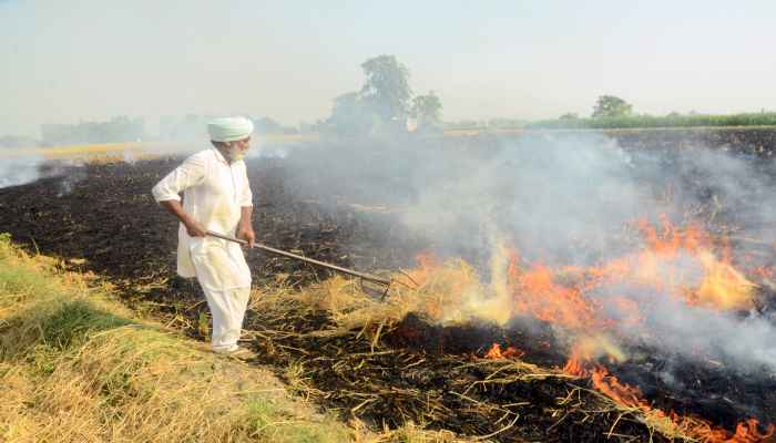 farmers-fined-for-burning-stubble