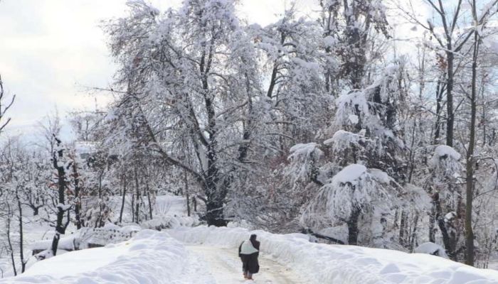 Uttarakhand-snowfall