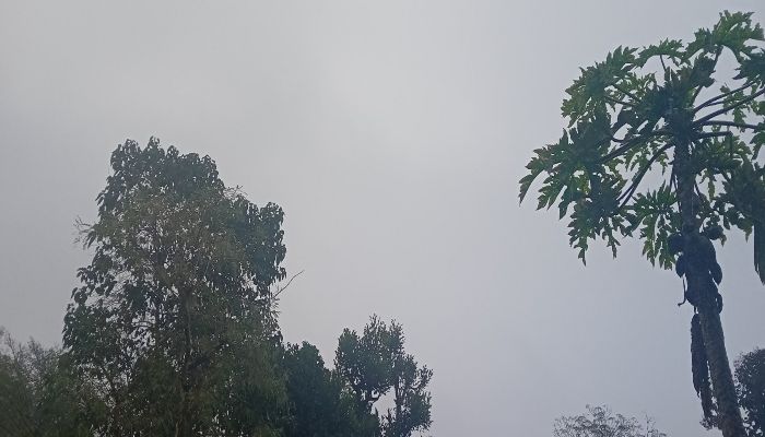 cyclone-michaung