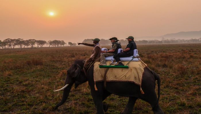 Kaziranga National Park me pm modi ki jangalsaphaari