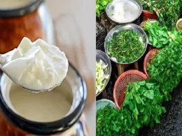 Why-curd-and-greens-not-eaten