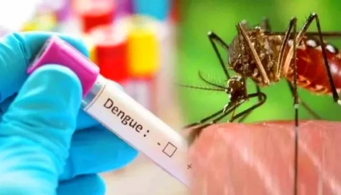 dengue