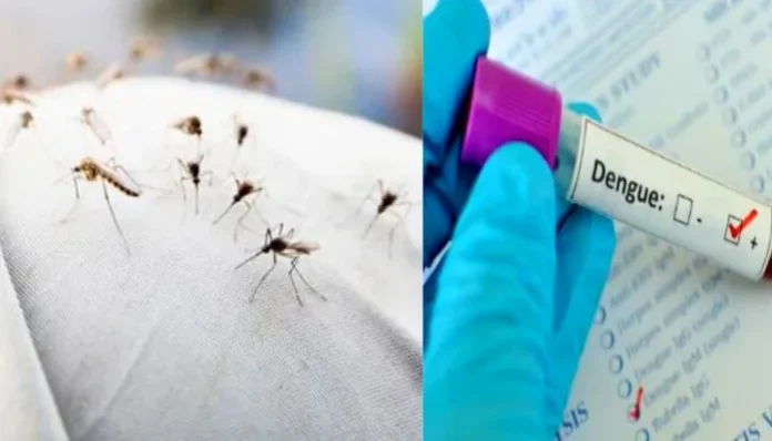 dengue