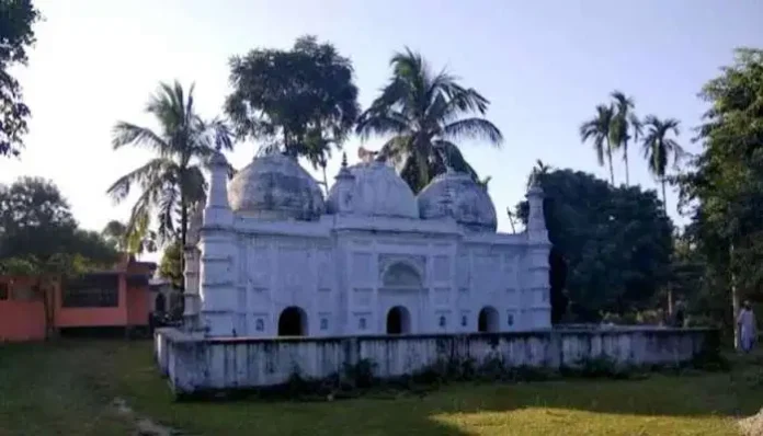 mahingaon-and-singhia-estate-