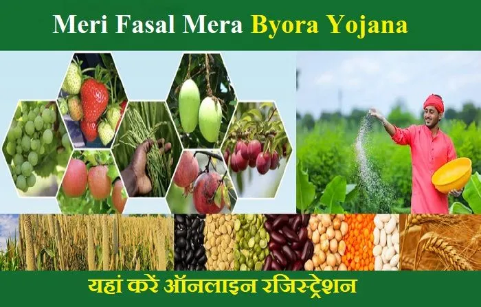 meri-fasal-mera-byora-yojana-2024