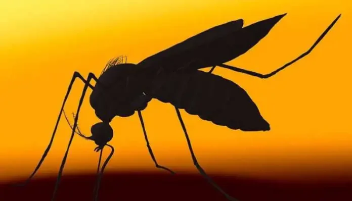 dengue-sting-is-getting-dangerous-