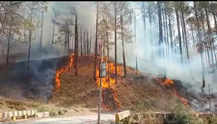 uttarkashi forest fire