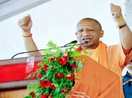 yogi-also-worked-hard-election-2024