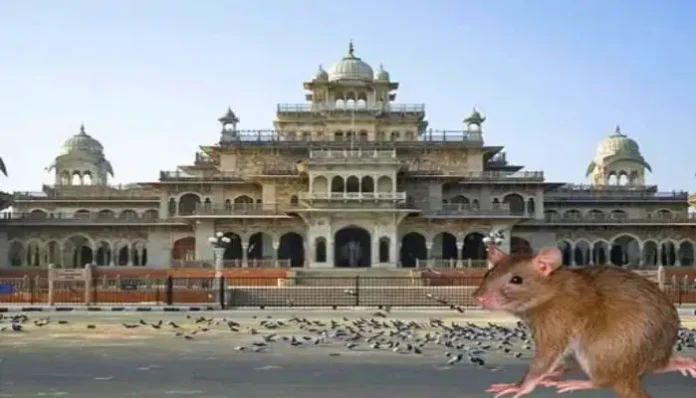 jaipur-rats-ramniwas-bagh-albert-Ha