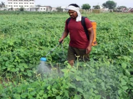 rain-has-a-bad-effect-on-farmers