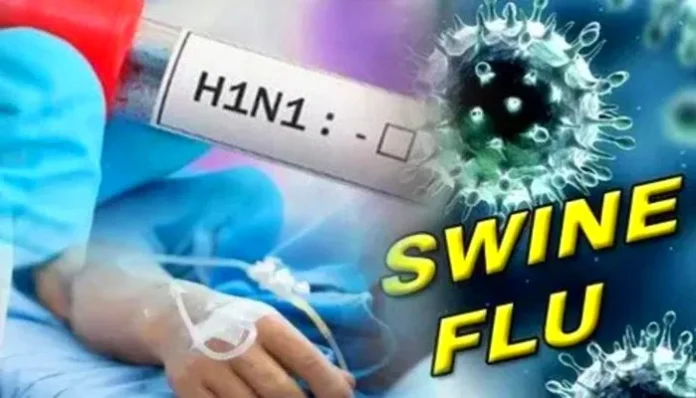 swine-flu