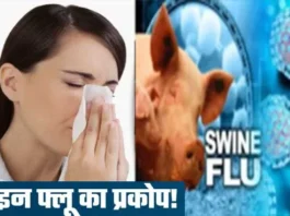 swine-flu