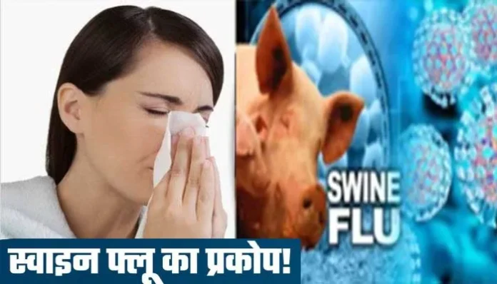 swine-flu