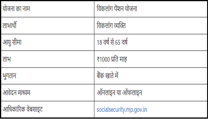 Viklang-Pension-Yojana-2024