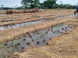 Bihar- Farmers