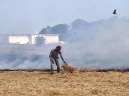 farmers-for-burning-stubble-in-haryana