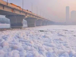 Yamuna Polluted Water