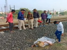 train accident in mp