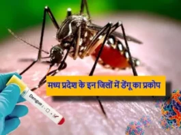 mp-dengue-cases