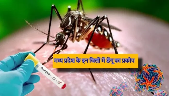 mp-dengue-cases