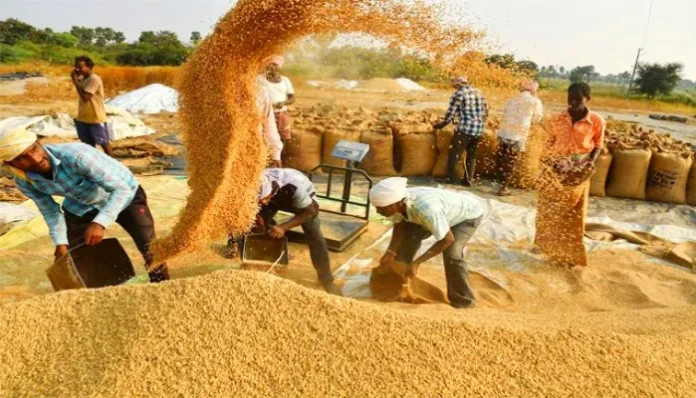 Punjab-should-buy-paddy