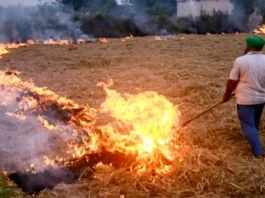 action-against-farmers-burning-stubble