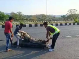 jind-road-accident