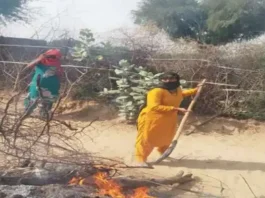 burn-woman-alive-in-land-dispute-in-rajasthan