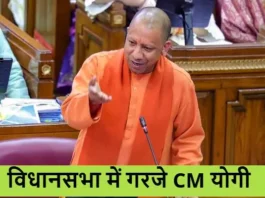 CM-Yogi-UP-Assembly