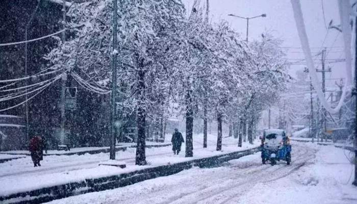 Jammu Kashmir Snowfall