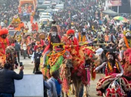 maha-kumbh-2025-800-signages-will-show-the-way