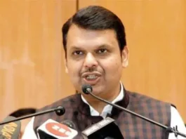 cm-fadnavis-gave-these-instructions-regarding-solar-energy-projects