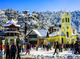 shimla-news