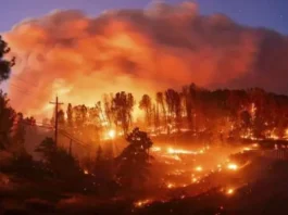 california-fires-los-angeles-california-fires-pacific-palisades-batton-and-hurst